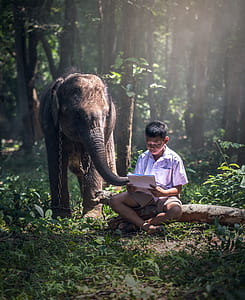boy in white button-up t-shirt beside brown elephant thumbnail