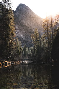 gray rocky mountain near green pine trees thumbnail