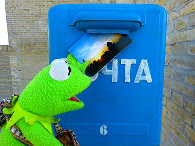 Kermit the Frog holding photo thumbnail