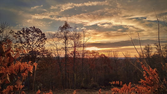 light, dawn, landscape, nature thumbnail