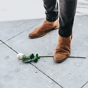 person wearing brown suede shoes step on white rose stem thumbnail