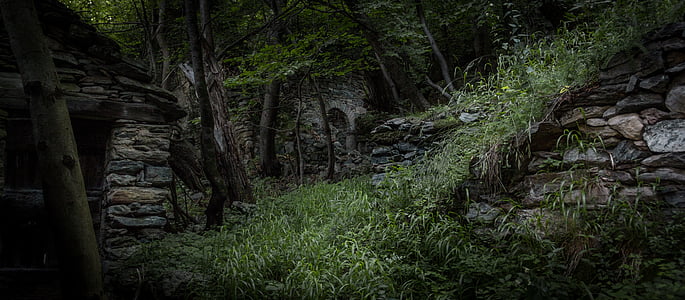 green grass field thumbnail