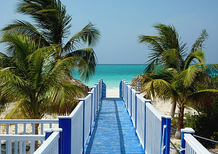 blue and white wooden dock and coconut trees during daytime thumbnail