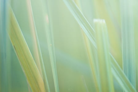 green glass photography thumbnail