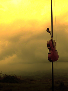 photo of brown violin and black bow thumbnail