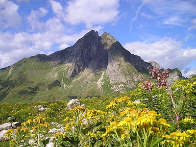 black and green mountain thumbnail
