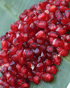 close-up photo of red pomegranate seeds thumbnail