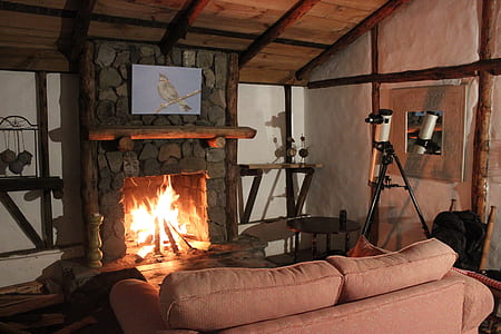 burning wood on fireplace inside house thumbnail