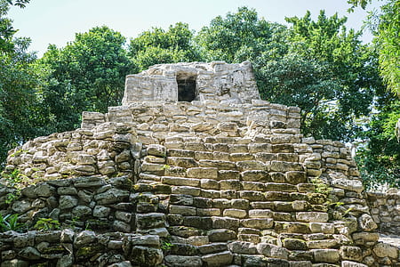 brown bricked building thumbnail