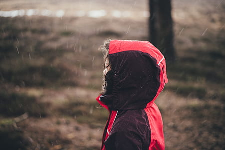 person standing near tree thumbnail