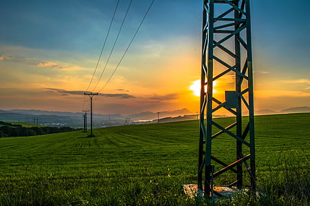 green fields during sunrise thumbnail