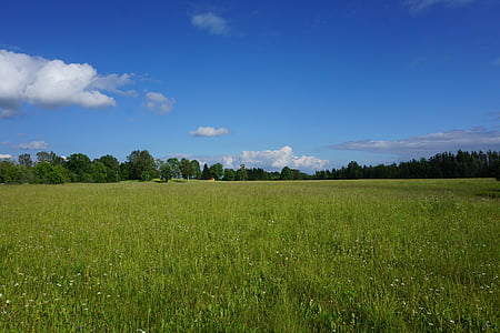 green field horizon thumbnail