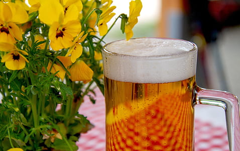 clear beer mug near yellow flowers thumbnail