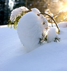 close up of snow field thumbnail
