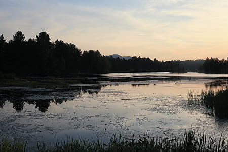 body of water near forest thumbnail