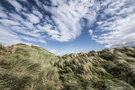 photo of green grass under blue sky thumbnail