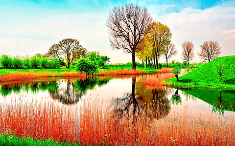 brown trees thumbnail