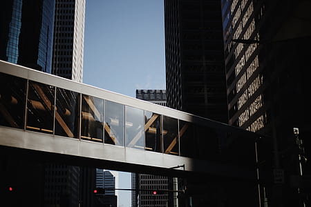 photo of bridge near high-rise building thumbnail