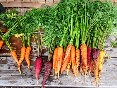 red and purple carrot lot thumbnail