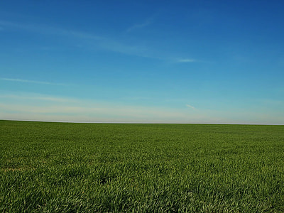 green vast grassland thumbnail