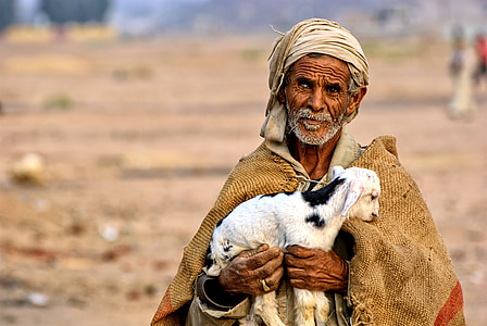 man holds white kid goat at daytime thumbnail