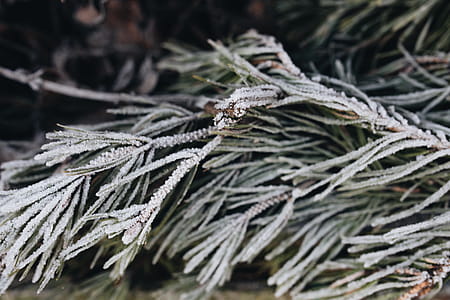 Winter freeze thumbnail