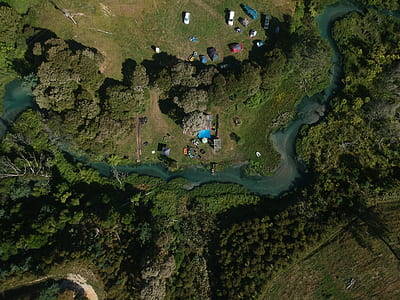 aerial photography of trees thumbnail