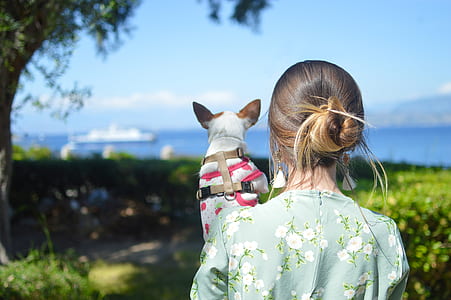 photo of owoman carrying dog thumbnail