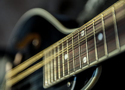 photography of stringed instrument thumbnail