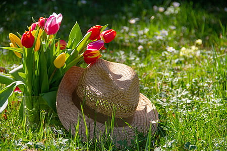 brown straw hat on grasses near tulip flowers thumbnail