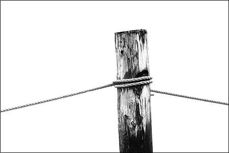 rope tied on log thumbnail