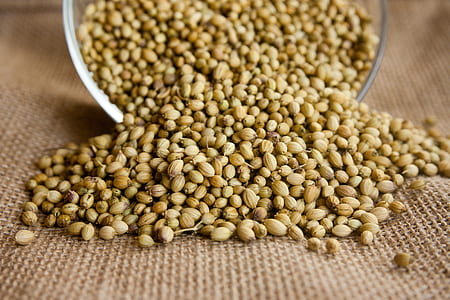brown peanuts in bowl thumbnail