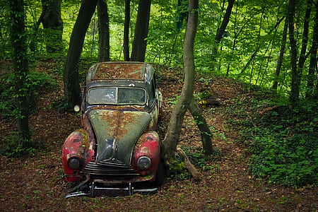 rusted classic gray and red vehicle surrounded by trees thumbnail