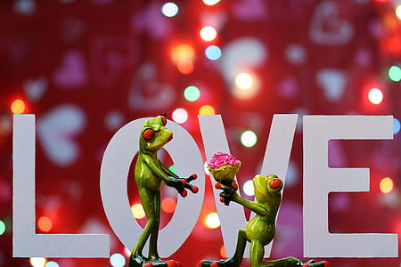 green frog offering bouquet of flower to female frog graphic wallpaper thumbnail