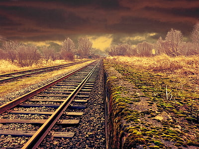 brown metal train rail in between trees thumbnail