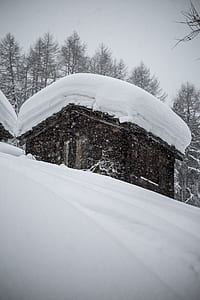 brown house roof covered with snow at daytime thumbnail