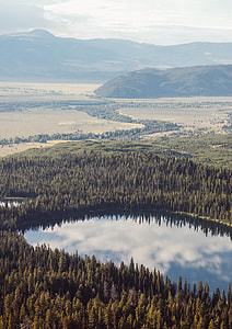 aerial photo of dense forest with lake under white sky at daytime thumbnail