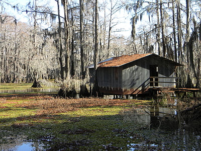 shed on swamp thumbnail