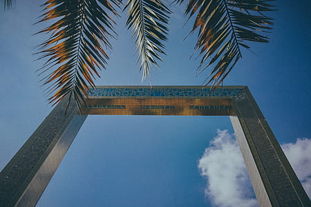 low angle photography of gray archway near palm trees thumbnail