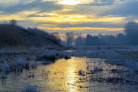 body of water near bare trees during golden hour thumbnail
