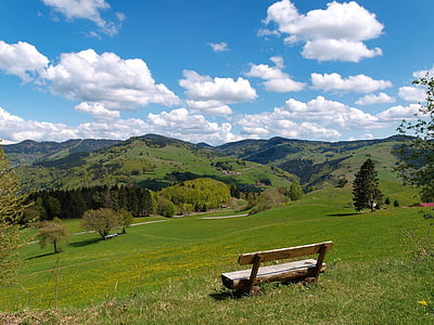 wooden bench on green field thumbnail