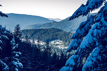 cold, snow, landscape, nature thumbnail