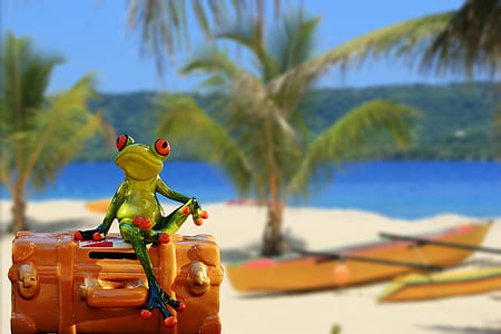 yellow and green frog sitting on brown container thumbnail