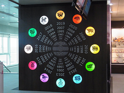 black and multicolored zodiac chart thumbnail