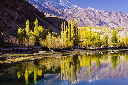 Panoramic Photography of Green Trees Near Mountain Range thumbnail