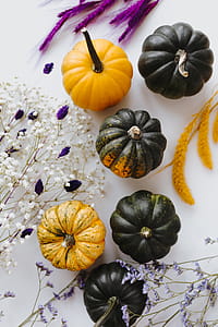Small yellow and dark green pumpkins on a white background thumbnail