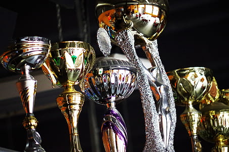 closeup photo of trophies inside dark room thumbnail