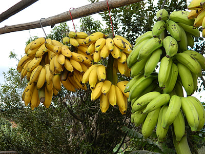 Bunch Of Bananas, Banana thumbnail