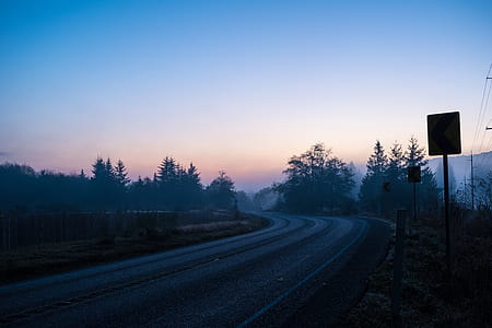 road signage and trees under gray sky thumbnail