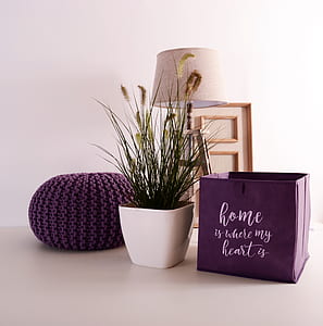 purple textile and green plant thumbnail